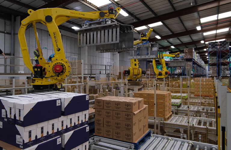 endoline-robotics-life-health-foods3